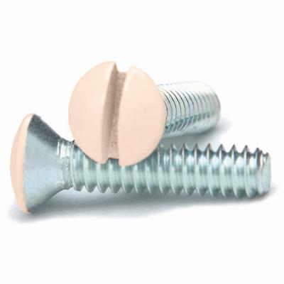 10PK IVY WallPlat Screw