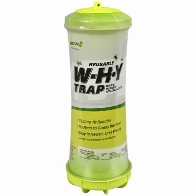 SODA BOTTLE WASP TRAP