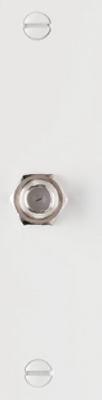 WHT 1G COAX WALL PLATE