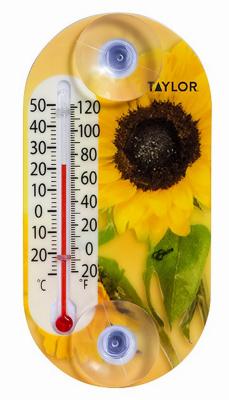 THERMOMETERS & SCALES