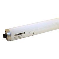BULB LT FLUOR 60W CWHT REC DC
