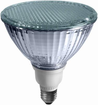 WP20W FP38 SE FLD Bulb
