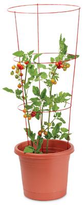 42"HD TOMATO CAGE ASSTD