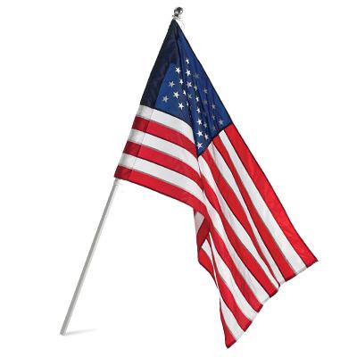 2.5x4Nyl US Banner/Pole