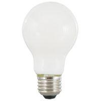 BULB LED A19 FROST DAYLIGHT 8W