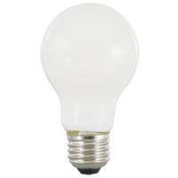 BULB LED A21 FRST DAYLIGHT 13W
