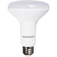 BULB LED BR30 FLOOD BRTWHT 7W