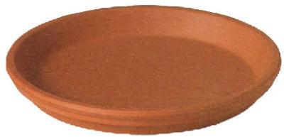 7" TC Saucer