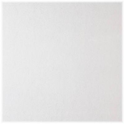 2x4 Stonehrst Ceil Tile