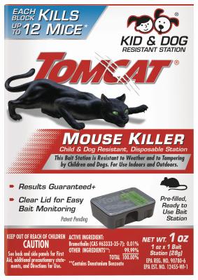 DISP MOUSE BAIT STATION