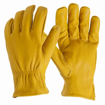 GLV LTHR DRVR DEERSKIN M