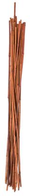 12PK 4' Bamboo Stake