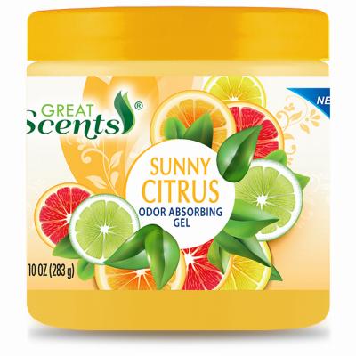 8OZ CITR ODOR ABS GEL