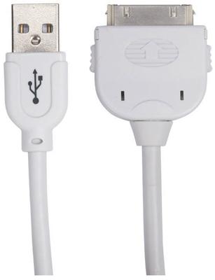 10'iPod PWR/Sync Cable