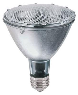 WP 38W PAR30 L FLD BULB