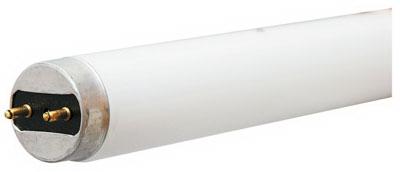 GE 32W 4' WHT T8 Tube