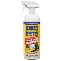 STAIN AND ODOR REMOVER 27OZ