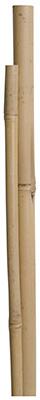 MG 12PK 4' BAMBOO STAKE