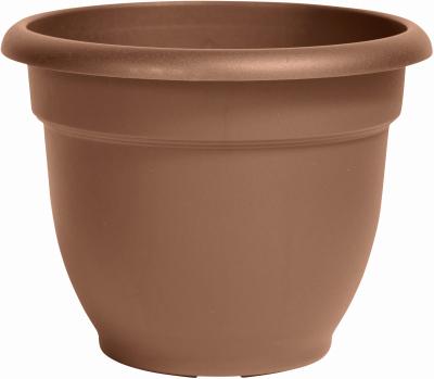 Ariana12" Choc Planter