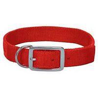 COLLAR HUNTING NYL ORNG 1X24IN