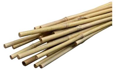 MG 12PK 3' BAMBOO STAKE