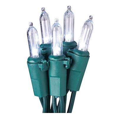 HW 100CT CW LED LGT Set