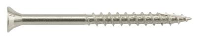 LB 2.5X10 SS EXT SCREW