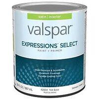 PAINT&PRIMR INT SAT TNT BSE QT