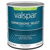 PAINT&PRIMER EXT SAT PSTLBS QT