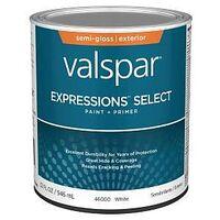 PAINT&PRIMER EXTR SMGLS WHT QT