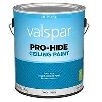 PAINT CEILING WHITE GA