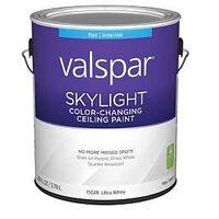 PAINT CEILING COLOR CHANGNG GA