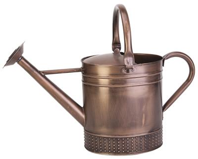 2GAL BRSH COP WTR CAN