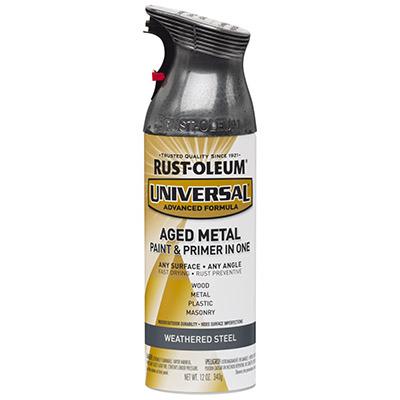 12OZ STL MET SPR PAINT