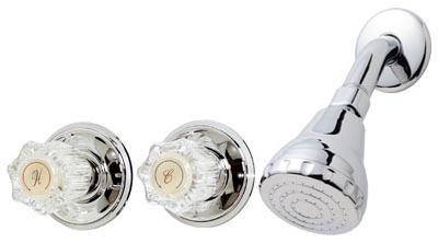 HP CHR2Hand SHWR Faucet