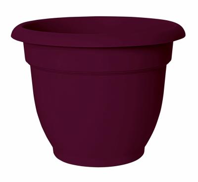 12"FRUIT ARIANA PLANTER