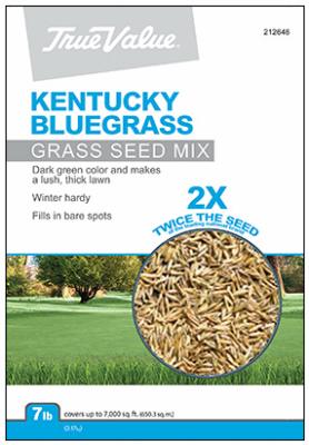 GT 7LB KY BLUgrass Seed