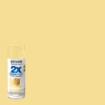 PT2X12OZ SatStraw Paint