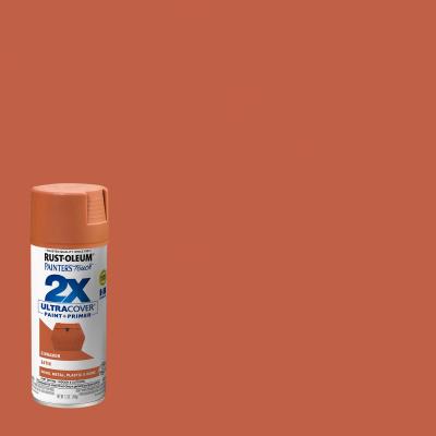 PT2X12OZ Sat Cinn Paint