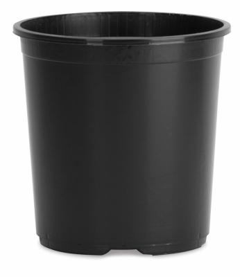 #3 Nursery Container
