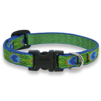 1/2x8-1/2 TF Dog Collar