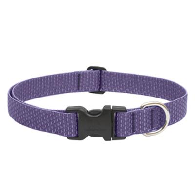 1x12-20 Lil Dog Collar