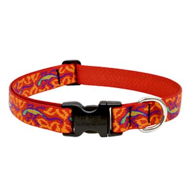 1/2x12-20GGG Dog Collar