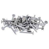 NAIL ROOFING EG 1IN 1LB