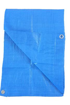 8X10 BLU LD POLY TARP