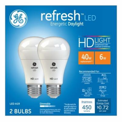 GE2PK 6W Day A19HD Bulb