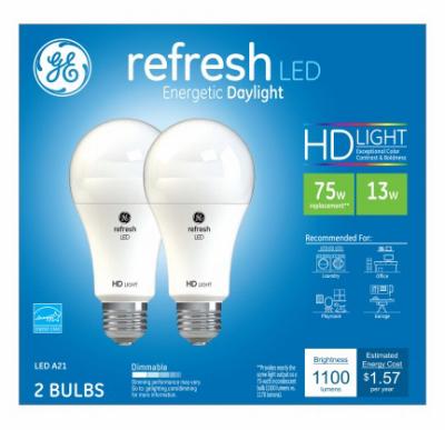 GE2PK 13W DAY A19 BULB