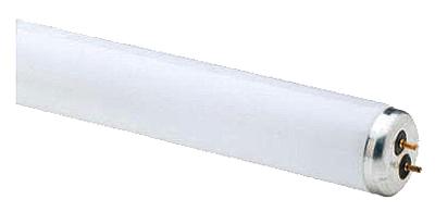 WP 48" 32W T8 Fluo Tube