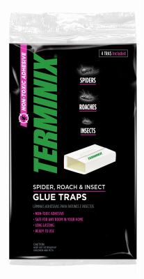 4PK TERM INSECT TRAP