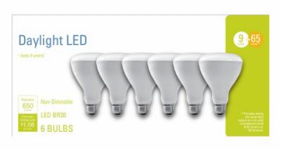 6PK 9W Day BR30 Bulb